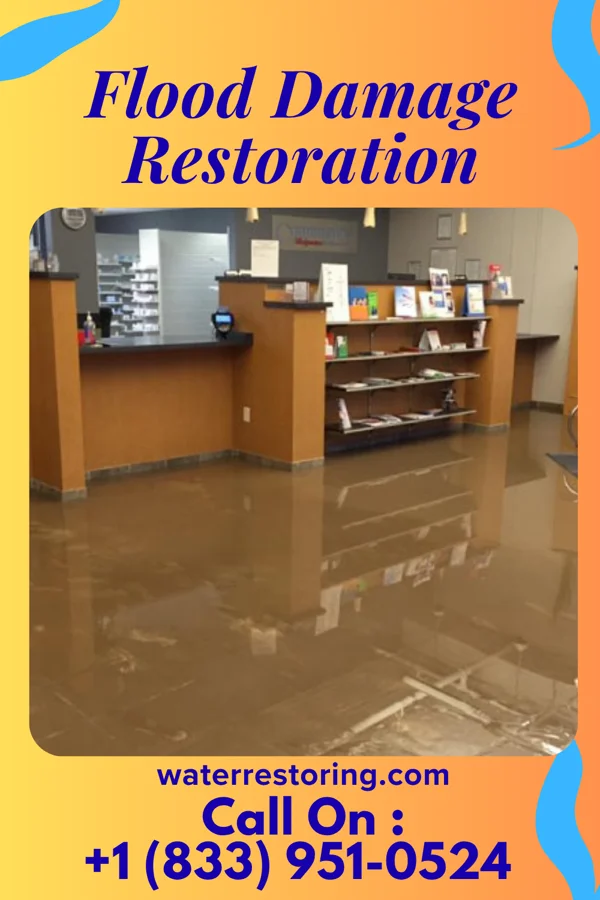 Flood Damage Restoration in Dover Hill, IN
